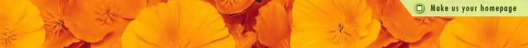 Set As Homepage