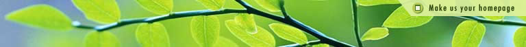 Set As Homepage